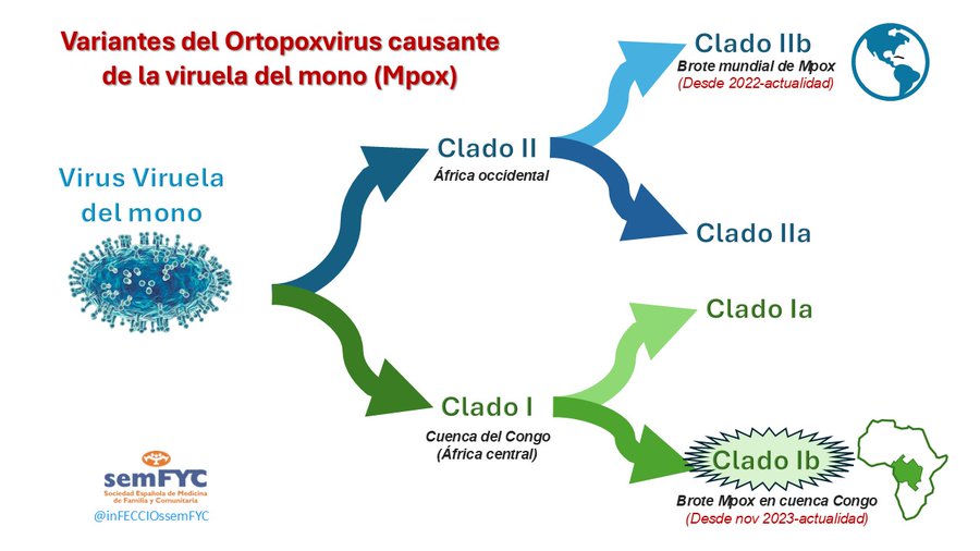 Actualización: La viruela del mono (MPOX) una emergencia de salud pública de importancia internacional en 2024