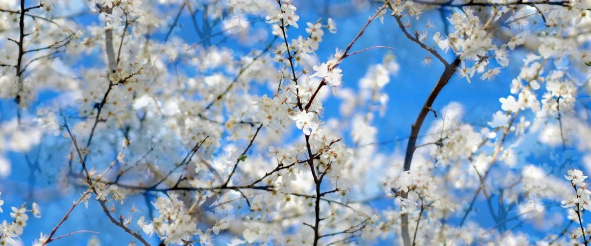 Las Jornadas de Primavera: Un espacio desde el pensamiento al posicionamiento