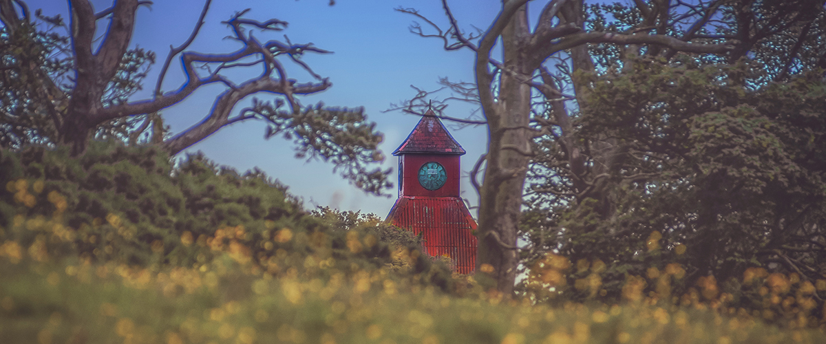 Desde mi punto de vista - Mucho más que decir 