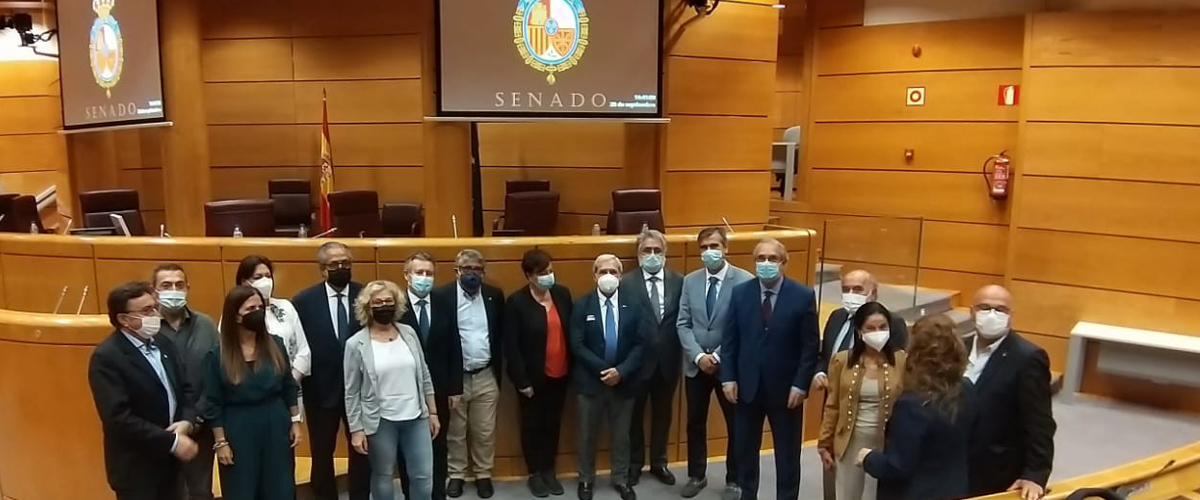 En su intervención en el Senado, el presidente de la semFYC receta más recursos comunitarios y mayor inversión