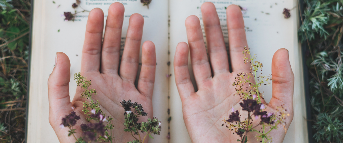 Poesía, espiritualidad, estadística y la motivación de los residentes, en el DocTUtor de febrero